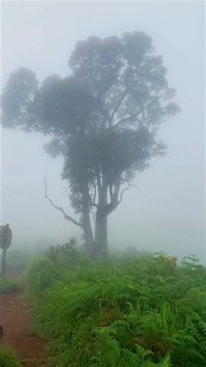 #kudremukh #trekking #karnataka #karnatakatourism