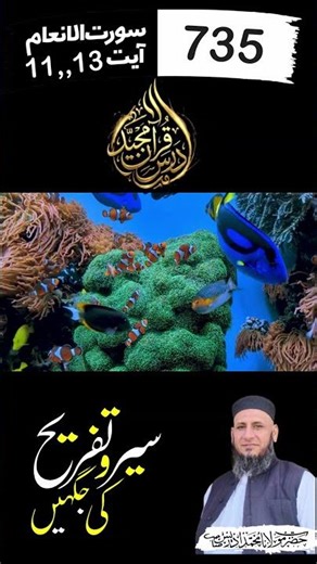 سیر و تفریح کی جگہیں | Sair o Tafreeh ki jaghen | #darsequran #bayan #shorts