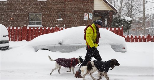 Downtown Toronto slammed with historic snowstorm