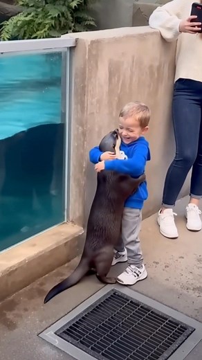 162K views · 904 reactions | Cuteness overload - AI | Crafty Panda | Facebook