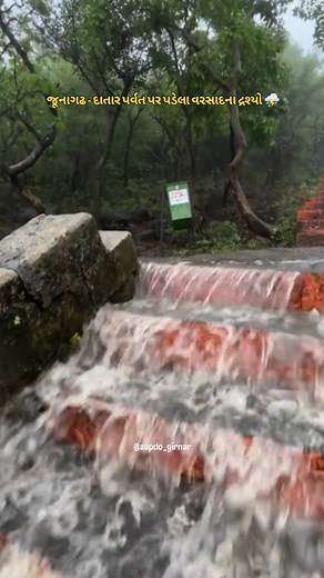 ⛈️⛈️❤️🙏 #girnar #girnari #jaygirnari #junagadh #datar #varsad #barish #monsoon #rain #chomasu #sorath #kathiyawad #gir #gandigir #viral #trending | aapdo_girnar