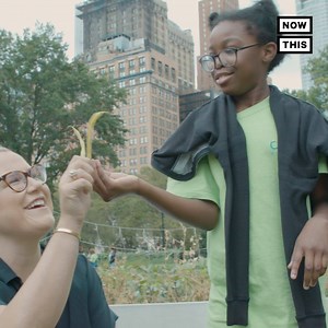 57K views · 21 reactions | This free summer program in the heart of NYC gets girls involved in STEM by digging into nature | NowThis Daily | Facebook