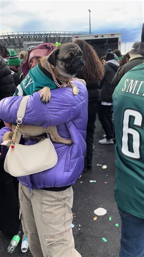 #pug #roodabeguh #eagles | pug