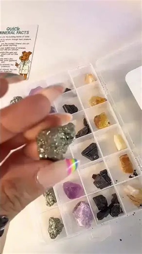Professor Pup’s STEM learning series mineral discovery kit #gifted #stem #asmr
