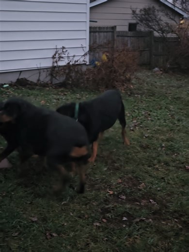 MANDO (@mandogarcia555)’s videos with Austin Powers Theme (Soul Bossa Nova) - N.Y. Jazz Orchestra