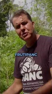 Discover Long Fruit Jute: secrets of PANC and its seeds