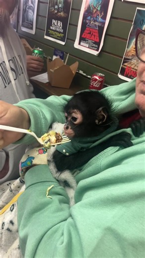 You surely never know what you’ll see it Walkers…. Quit monkeying around in the lobby and get to work. #monkey #taco #petsoftiktok