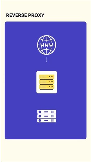 Forward Proxy vs Reverse Proxy