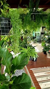 Welcome to the jungle Garden. Follow to see more #garden #gardendesign | Dream Garden