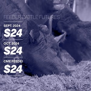 Weekly Market Wrap-Up: Cattle futures pushed above the 40-day moving average, signaling bullish momentum. #CattleMarkets | Western Livestock Journal