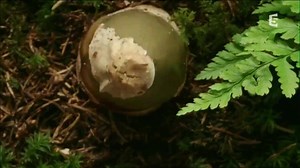 13 reactions · 12 shares | Nature and it's beautiful. | PhysicsShow | Facebook