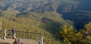 Curious Kids: what makes an echo?