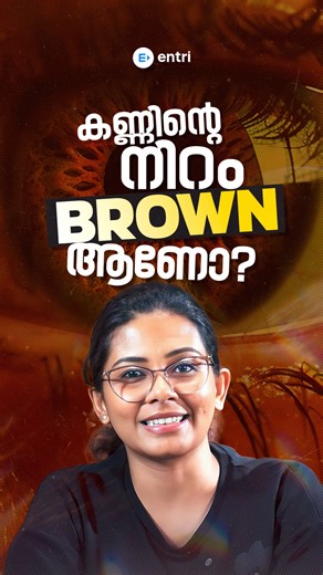 Yoga TTC Entri on Instagram: "Brown eyes ഉള്ള നിങ്ങളുടെ Friends നു share ചെയ്യു 👀👆🏽 . . . . ⭕To know more about Entri Yoga TTC Course, Please Contact: 7736173338 . (Yoga,entriyoga ,yogateacher ,healthylifestyle, yoga benefits, healthycarrier, entrittc, yoga ttc , yoga poses)"