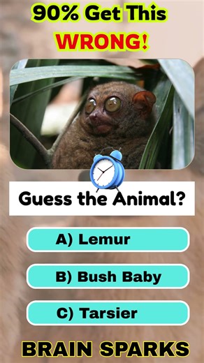 Part 41 Test Your general Knowledge #brainsparks #quiz #quiztime #quotes #shorts