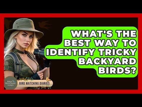 What's The Best Way To Identify Tricky Backyard Birds? - Bird Watching Diaries