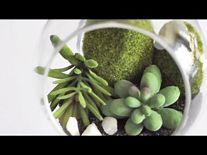 7 Easy Steps To Create A Realistic Succulent Terrarium