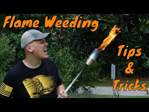 Sutton Vlog #7 - Tips and Tricks for Flame Weeding (Red Dragon)