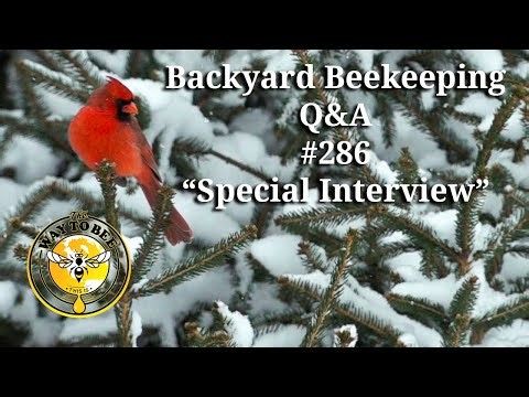 Backyard Beekeeping Q&A 286 common concerns about Formic Pro and more.