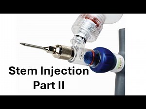 Stem Injection of Invasive Knotweed - Part II on Green Shoots Injection System