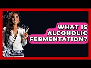 What Is Alcoholic Fermentation? - Science Through Time