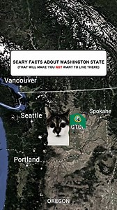59K views · 604 reactions | Facts About Washington State . . . #washingtonstate #geography #washingtondc #usa #DanBongino #Taemin #chile | Kitty Memes | Facebook