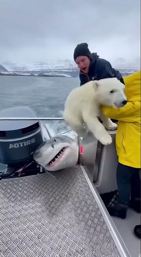 🐻‍❄️ BARELY Escapes!