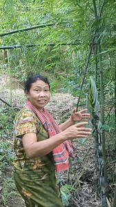 23K views · 696 reactions | গায়েজ আজকে কোথায় আসছেন দেখেন #fbreelsfypシ゚viralvideo | Mra Nue Ching | Facebook