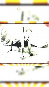 Hunter the Ponyboy: The Man Who Walked on All Fours & Became a Circus Legend! 🎪 Untold Mysteries