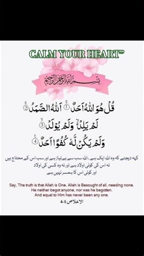 Surah Al Ikhlas Full | Best Quran Surah for Tawheed | Short Video #surahikhlas #shirk #surahrehman