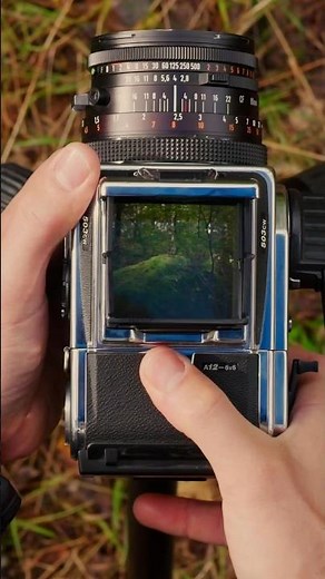 Magically transform a film camera into a digital one