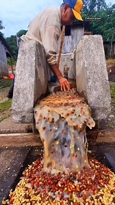 794K views · 14K reactions | the process of peeling or grinding Arabica coffee into coffee beans #pulping #gilingankopi #coffee #cafe #reels #viral #fyp | Febi Nuralam | Facebook