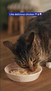 Mealtime Match: Odd Couple