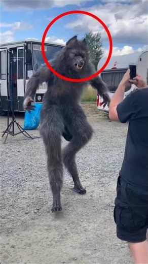 giant dog breeds ever #dogs