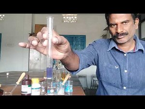 Digestion of Starch by Salivary Amylase ZOOLOGY (Physiology experiments)