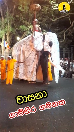 හරිම ලස්සනයි.. කතරගම වසනා | Kataragama Wasana Tuske