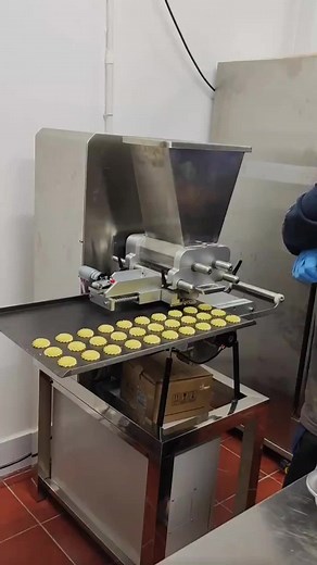 Mini Cookie Machine: Cookie Manufacturing Equipment