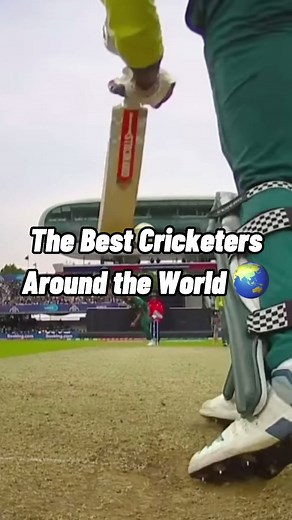 thecricketmemehub on TikTok