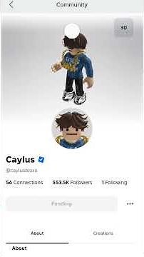 how to add caylus on roblox.
