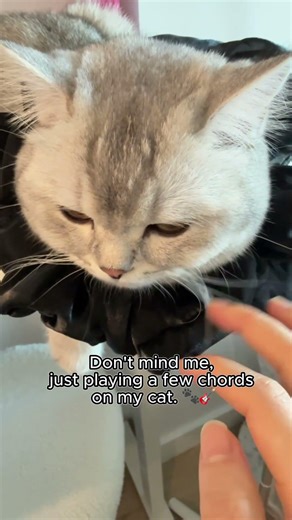 Asta-coustic Sessions: Vol. 1 🎸