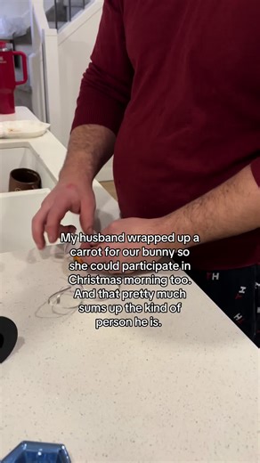 Celebrating Christmas with Our Bunny Rabbit