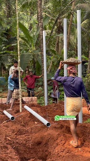 Pepper pvc work Thanoor 🌱#pepper #farming #agriculture #malayalam #malappuram #kerala | Noushad Kaliyala