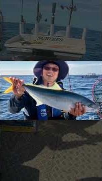 Kingfish DOUBLE!