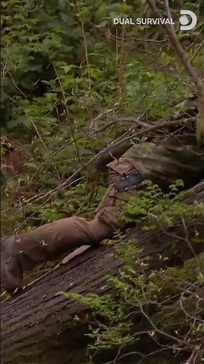 Trapped In A Rainforest Survival Nightmare | Dual Survival S1 Ep 8 | Discovery Channel India