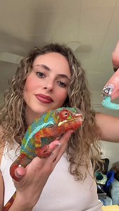 Diva diet! 🐛🦖🌈 #chameleon #pantherchameleon #reptile #chameleons #lizard | The Jess Zoo