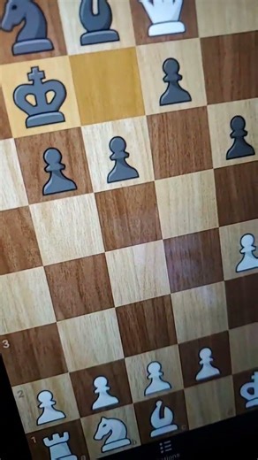 worlds weirdest checkmate photran opening