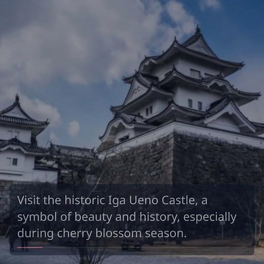 Discover Ninja Culture and Delicacies in Iga Ueno City