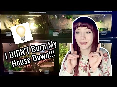 INSTALLING HEAT & UVB LIGHTS Into My PVC Reptile Enclosures