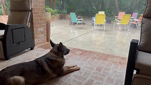 I could sit out & watch the rain like this all day. I just love it. | Michael Berry