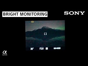 What is Bright Monitoring? | Rachel Jones Ross What's In My Bag Shorts