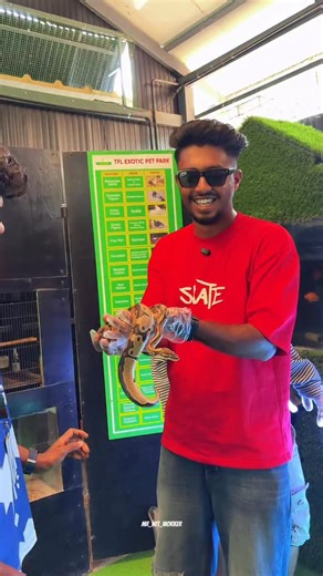 Abhiram Biju | Travel Content Creator | Lifestyle | 📍Munnar on Instagram: "THANIMA FARM LIFE STAY FOR PRE BOOKINGS : 79073 24676 73068 71313 62382 15202 LOCATION: PALAKKAD THANIMA FARM LIFE, • Daycation (9:30am - 5:30pm) Over 30+ activities Food Welcome Drink with homemade cookies *Activity list for Staycation* *# Explore - farm activities* *Orchard garden *Glass bridge *Animal husbandry *Connect with exotic birds *Live fishing *Fish feeding *Coconut tree climbing *Water wheel *Dog walk inside 